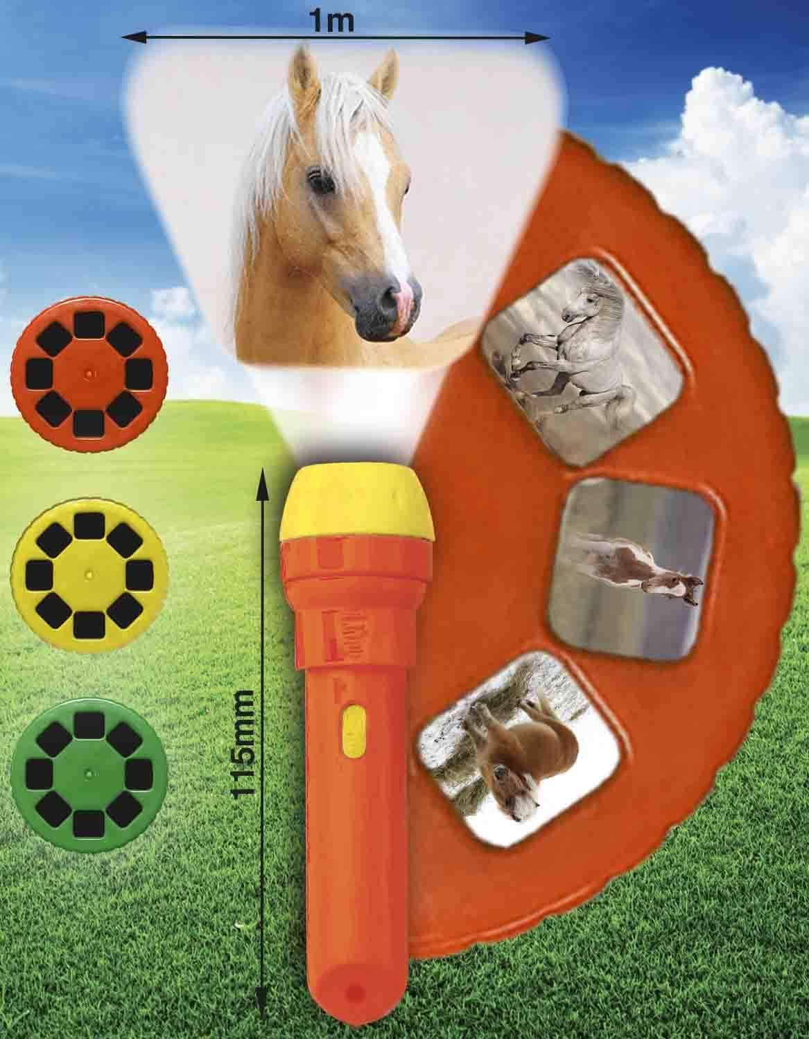 Brainstorm Horse Torch & Projector