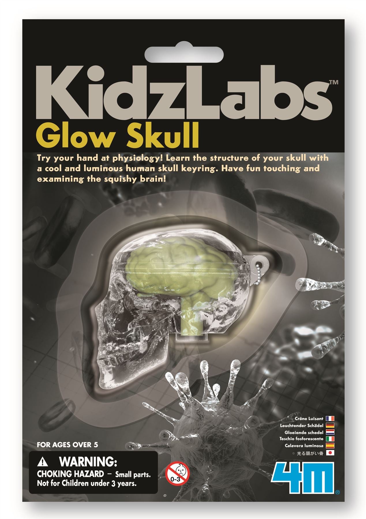 Great Gizmos 4M KidzLabs Glow Skull